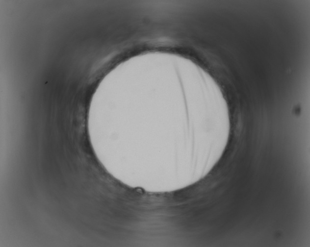 X0000115731301200912241618