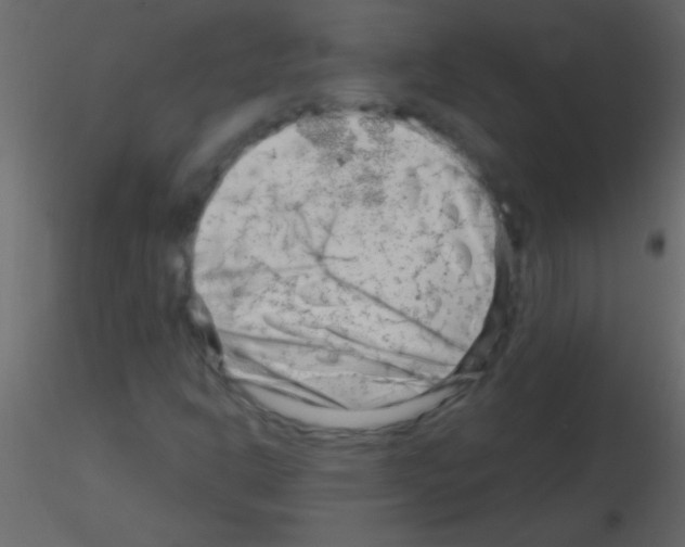 X0000115731302200912241618