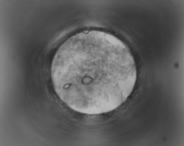 X0000115731303200912241618