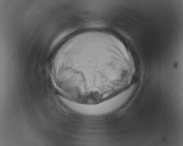 X0000115731306200912241618