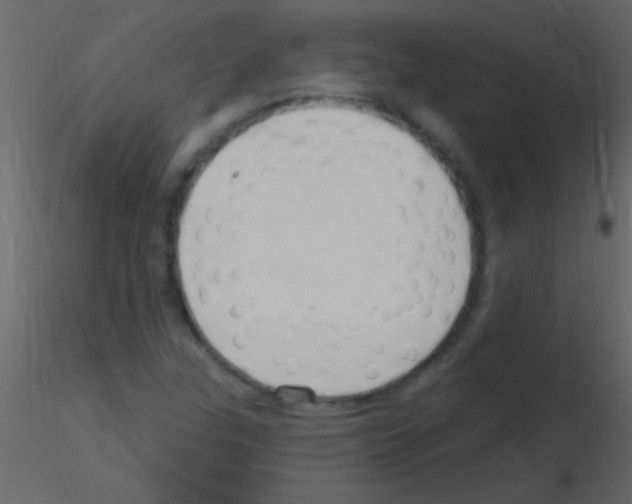 X0000115731307200912241618