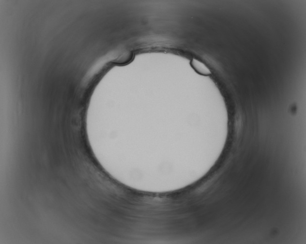X0000115731309200912241618