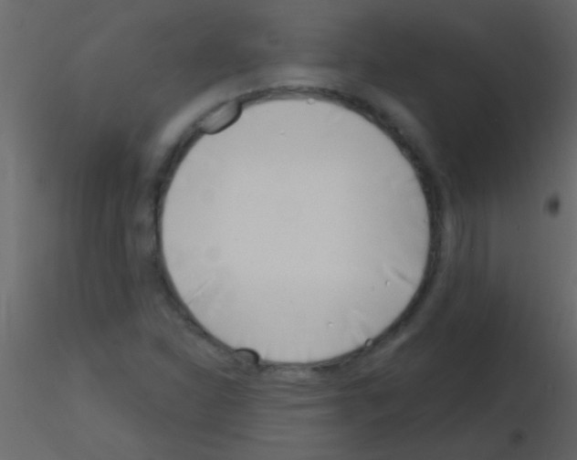 X0000115731310200912241618