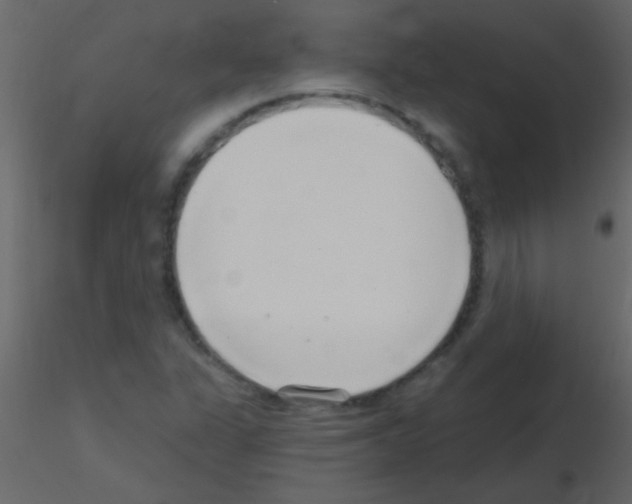 X0000115731311200912241618