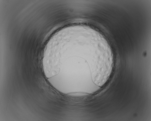 X0000115731313200912241618