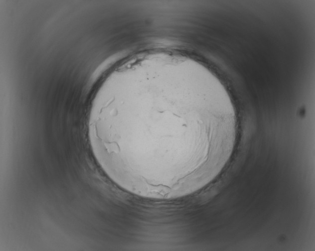 X0000115731314200912241618