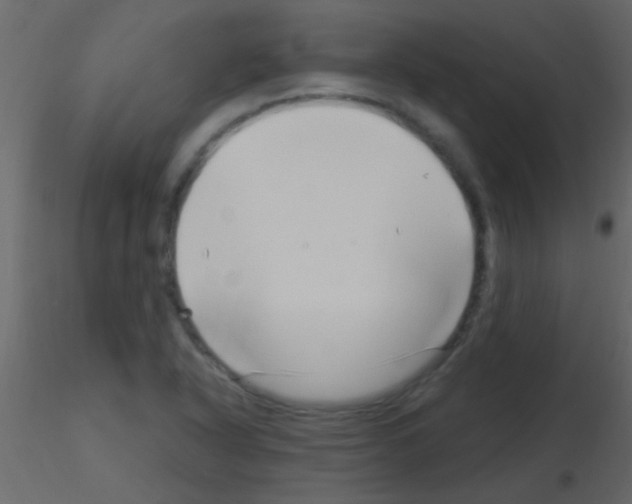 X0000115731318200912241618