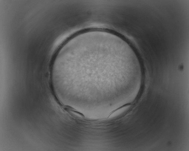 X0000115731319200912241618