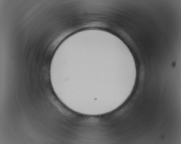 X0000115731321200912241618