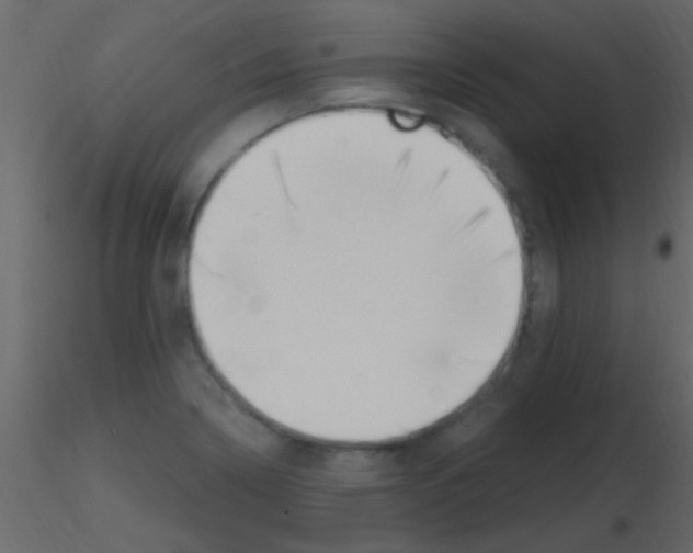 X0000115731322200912241618