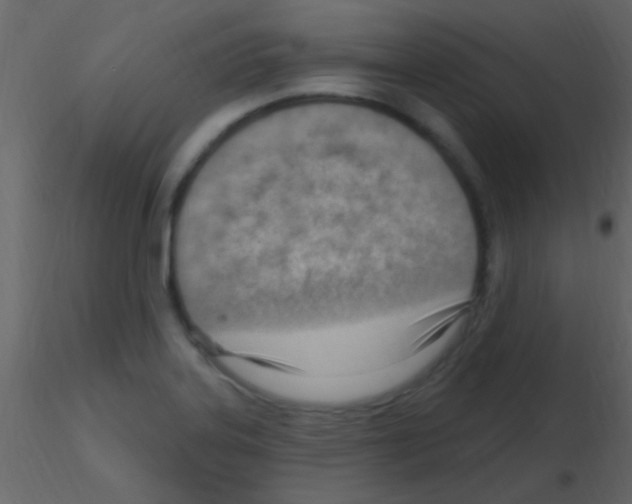 X0000115731323200912241618