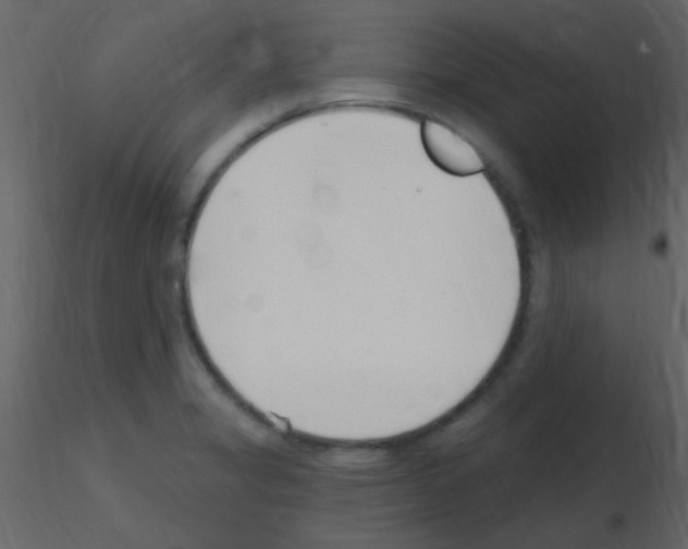 X0000115731325200912241618