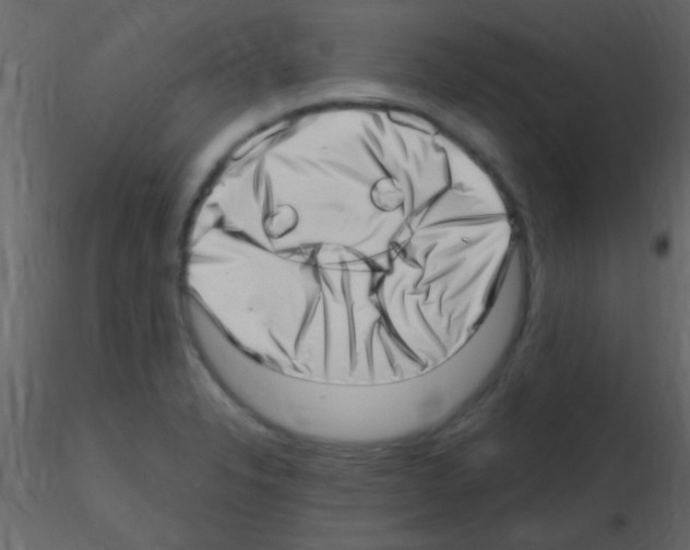 X0000115731326200912241618