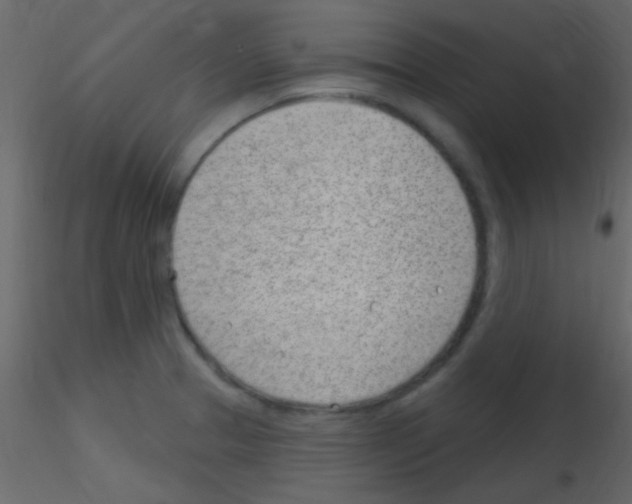 X0000115731329200912241618