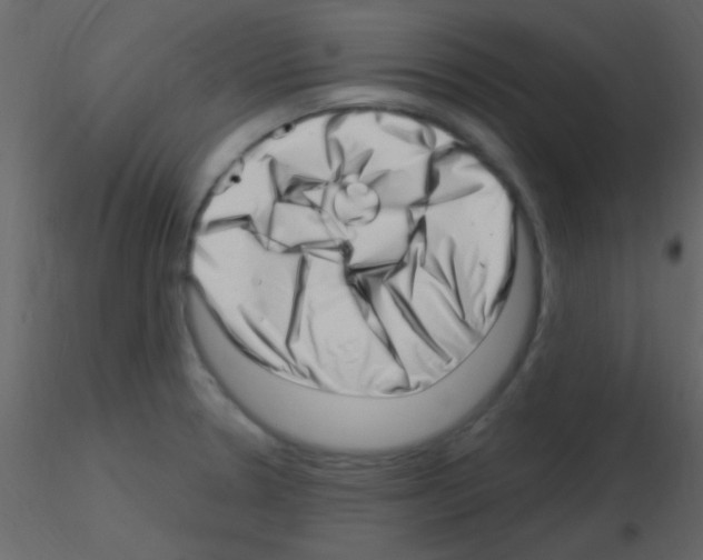 X0000115731330200912241618