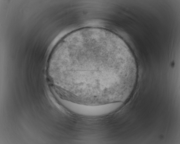 X0000115731331200912241618
