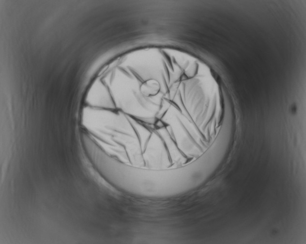 X0000115731334200912241618