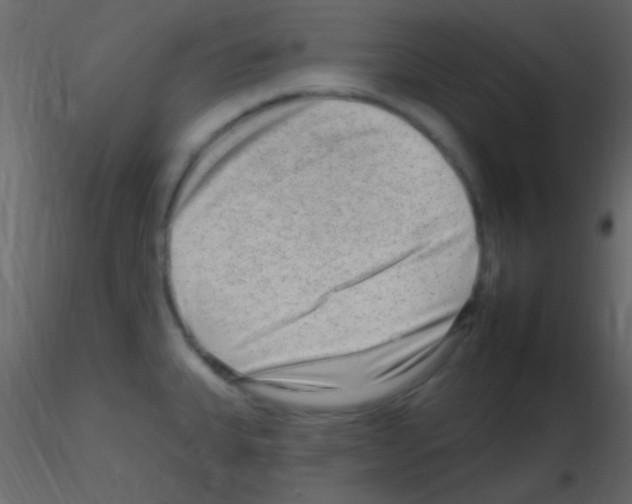 X0000115731335200912241618