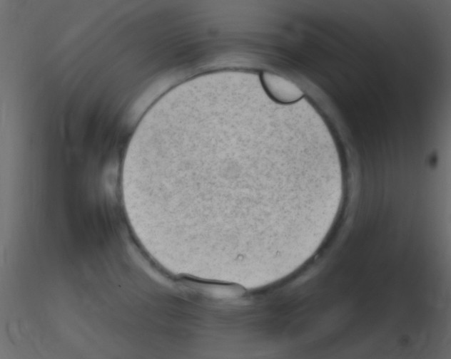 X0000115731337200912241618