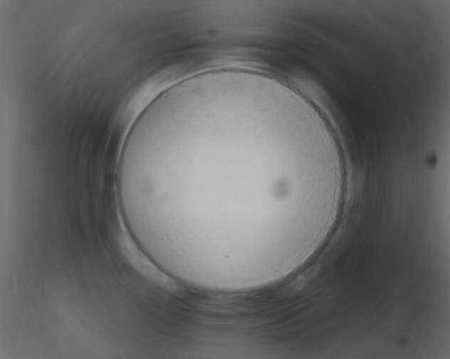 X0000115731338200912241618
