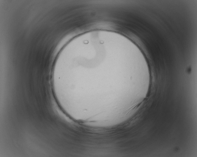 X0000115731339200912241618