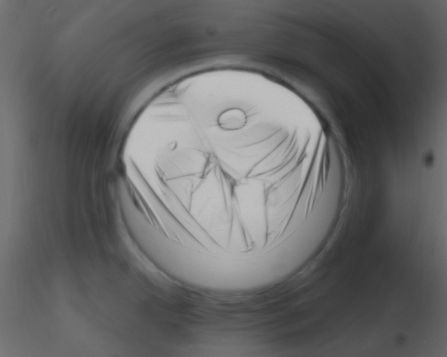 X0000115731342200912241618
