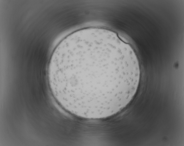 X0000115731343200912241618