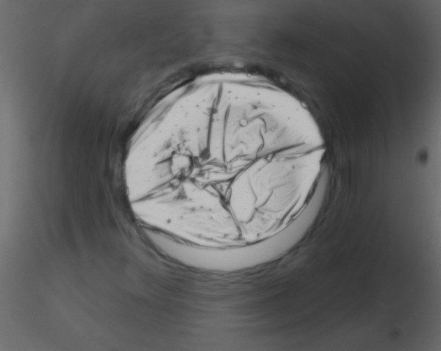 X0000115731348200912241618