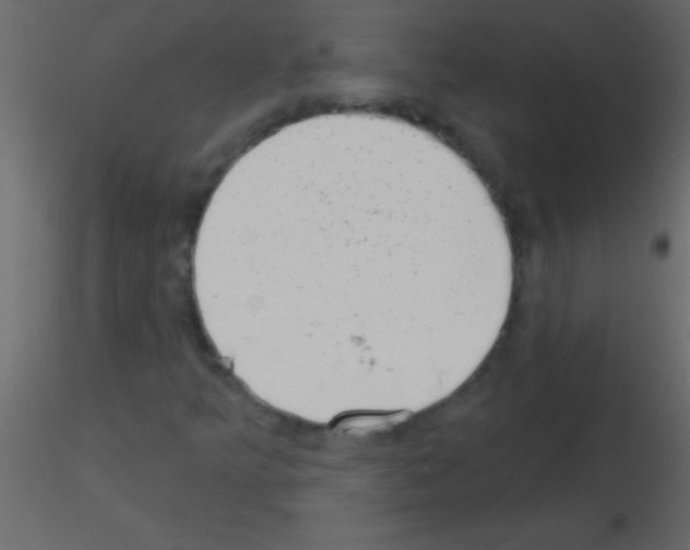 X0000115731349200912241618