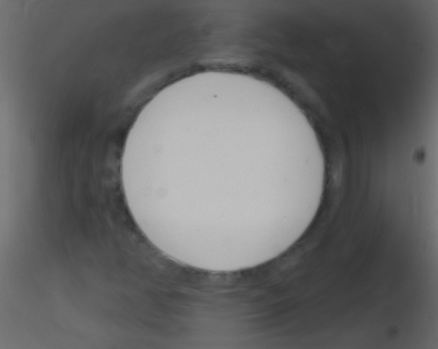 X0000115731350200912241618