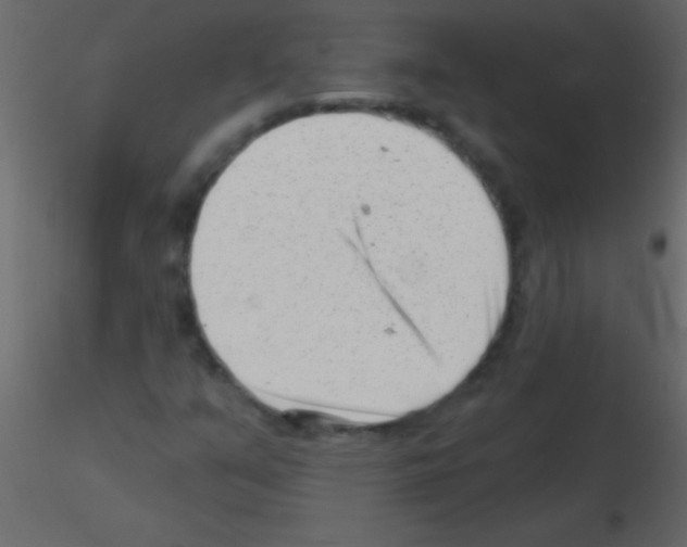 X0000115731351200912241617