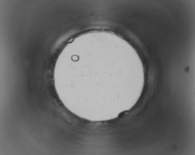 X0000115731352200912241617