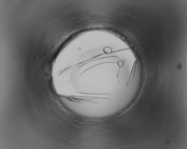 X0000115731353200912241617