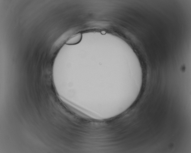 X0000115731354200912241617