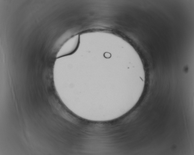 X0000115731355200912241617