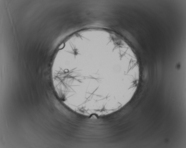 X0000115731356200912241617