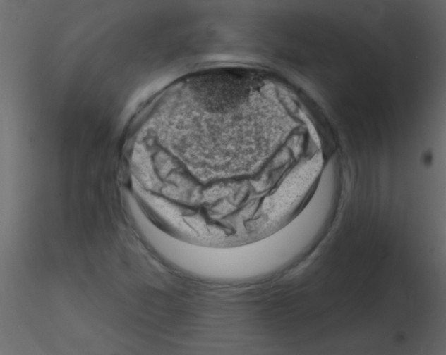 X0000115731357200912241617