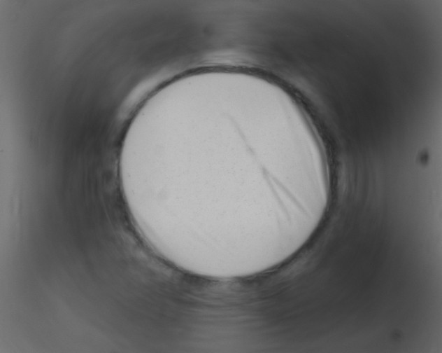 X0000115731358200912241617