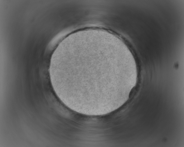 X0000115731359200912241617