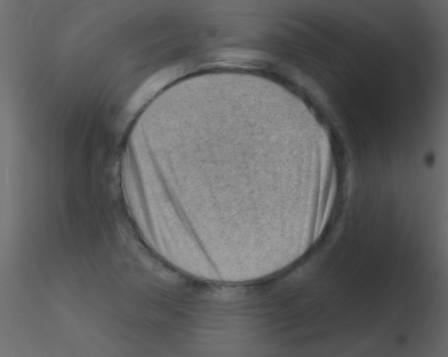 X0000115731362200912241617