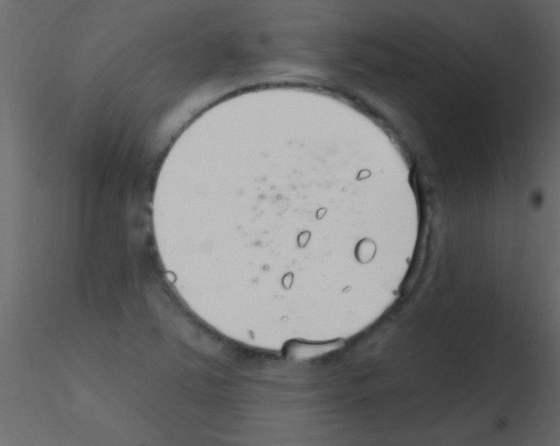 X0000115731363200912241617