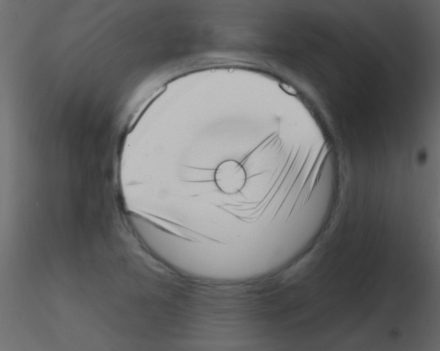X0000115731365200912241617