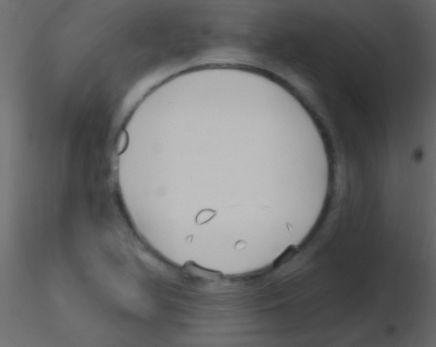 X0000115731366200912241617