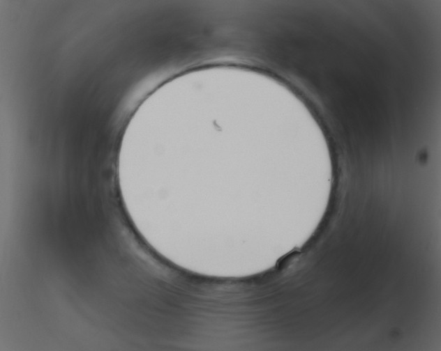 X0000115731367200912241617