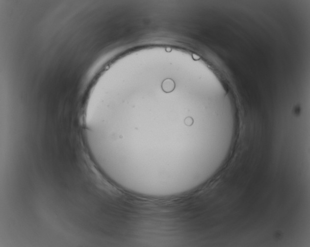X0000115731368200912241617