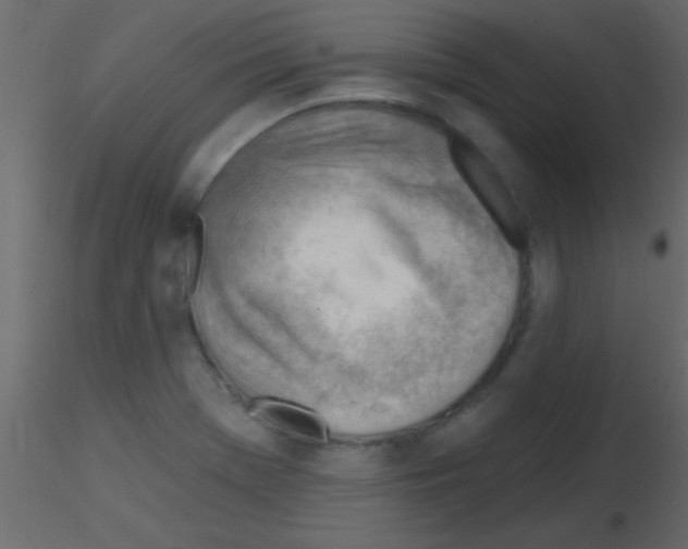 X0000115731369200912241617