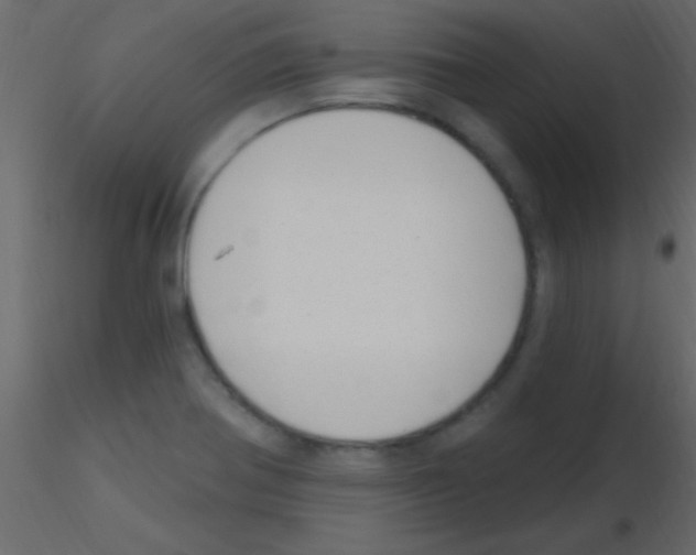 X0000115731370200912241617