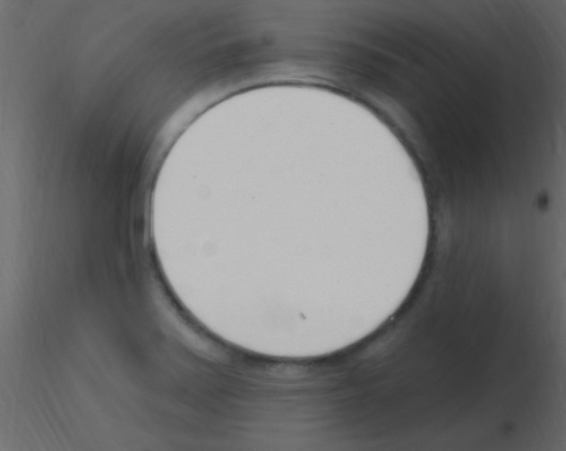 X0000115731371200912241617