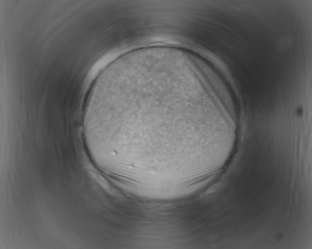 X0000115731373200912241617