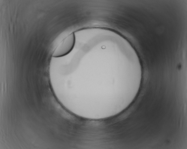 X0000115731374200912241617